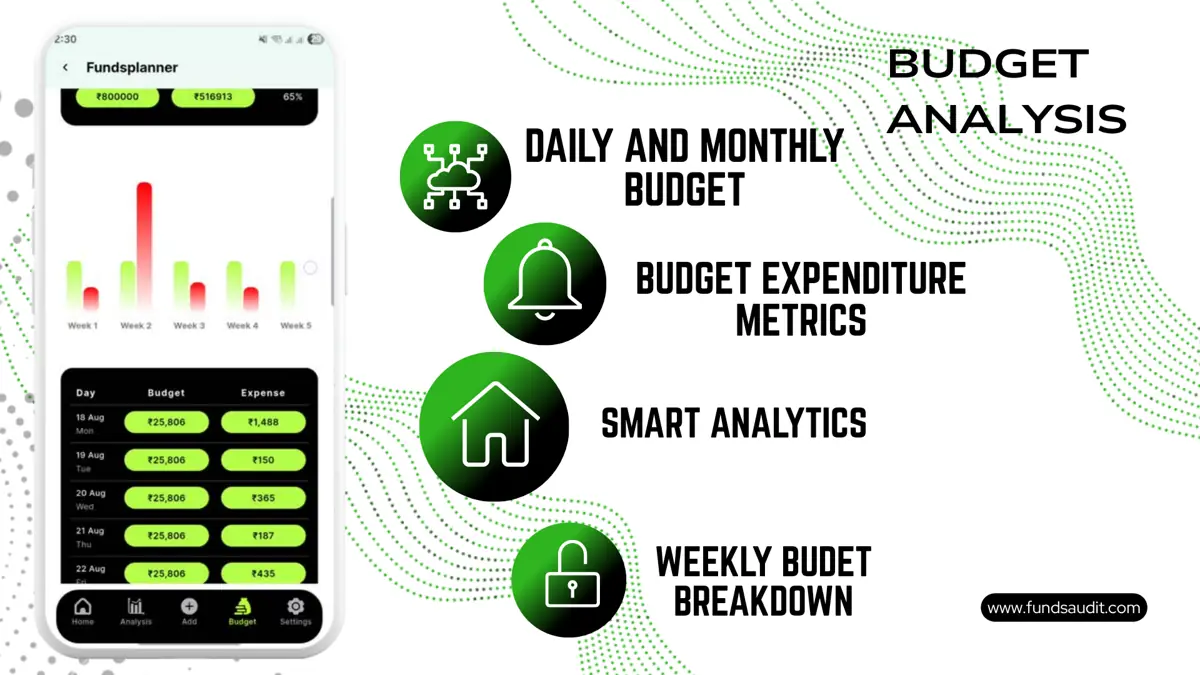 FundsAudit supplied screen: Budget analysis